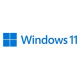 Microsoft Windows 11 Professional 64 Bit DSP