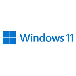 Microsoft Windows 11 Professional 64 Bit DSP