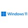 Microsoft Windows 11 Professional 64 Bit DSP